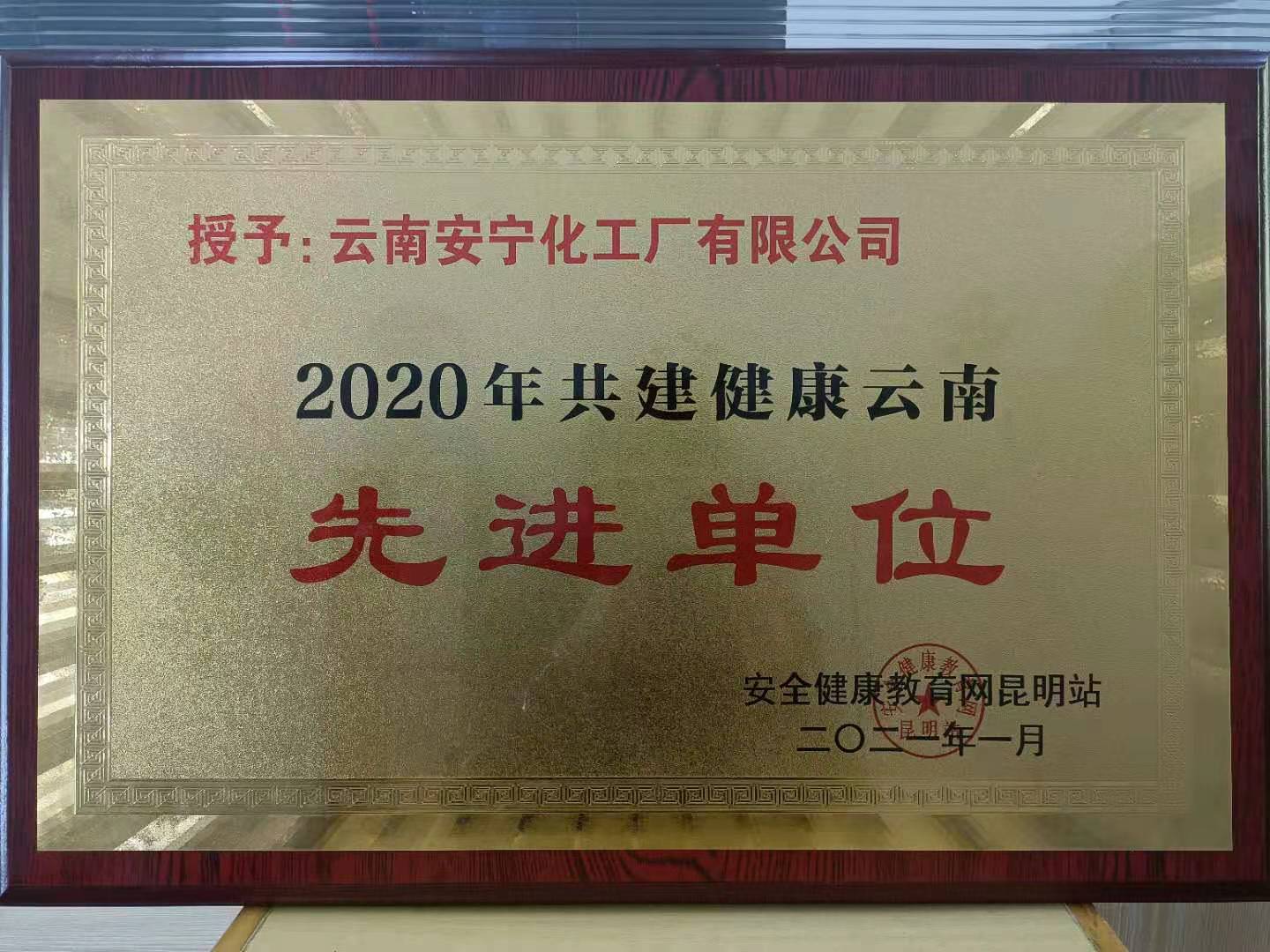 2020年共建健康云南先进单位